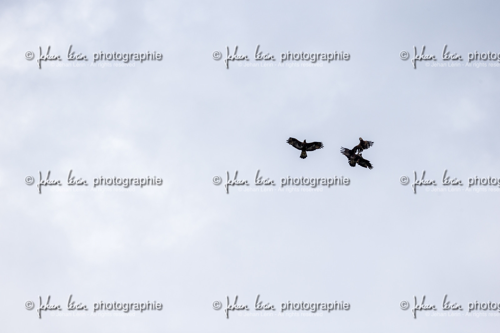 vignols_roubion_tinee_alpes-maritimes_jehan-lerin_jl_1dx_30-05-2022-0047.jpg