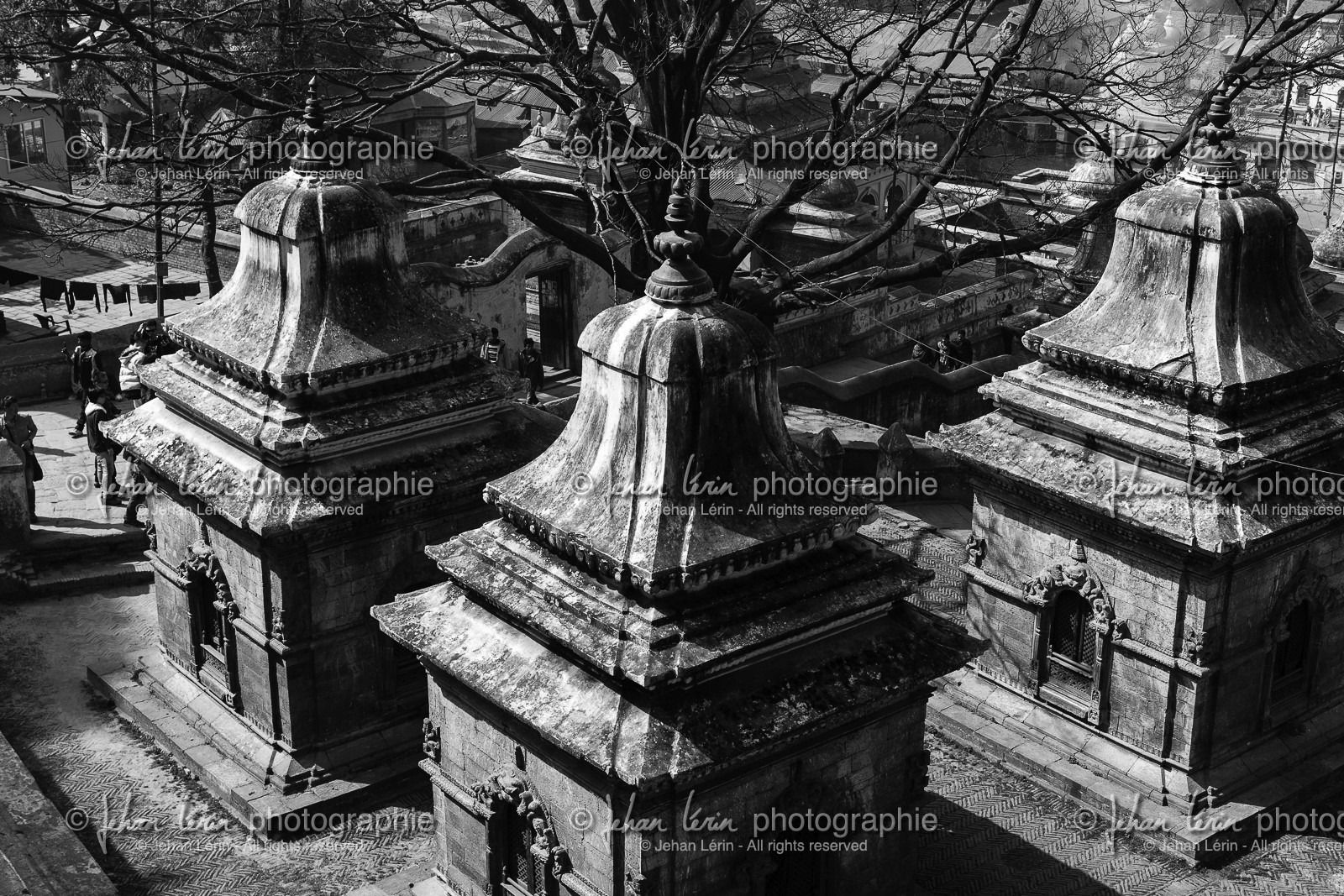 nepal_kathmandu_pashupatinath_10-02-2013-36320.jpg