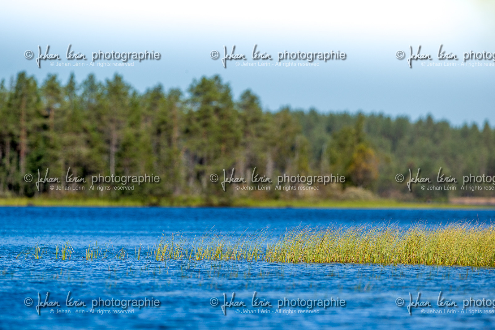 Finlande
