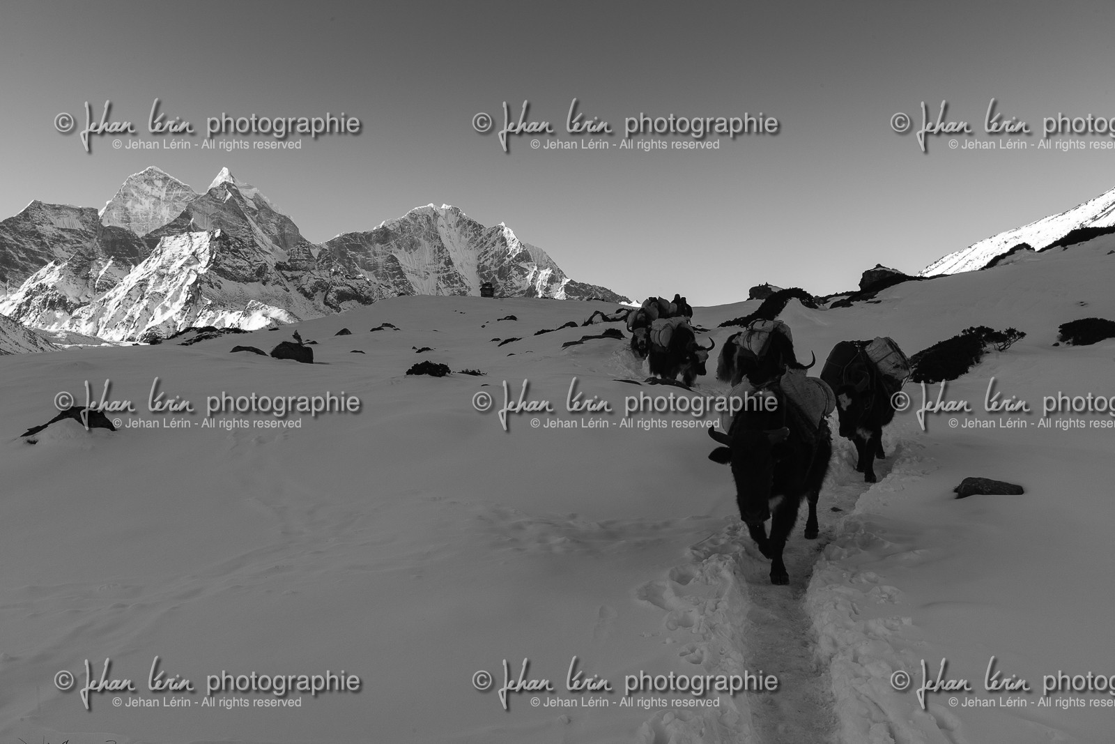 nepal_rolwaling-and-khumbu-area_way-pheriche-to-orsho_22-02-2013-37108.jpg