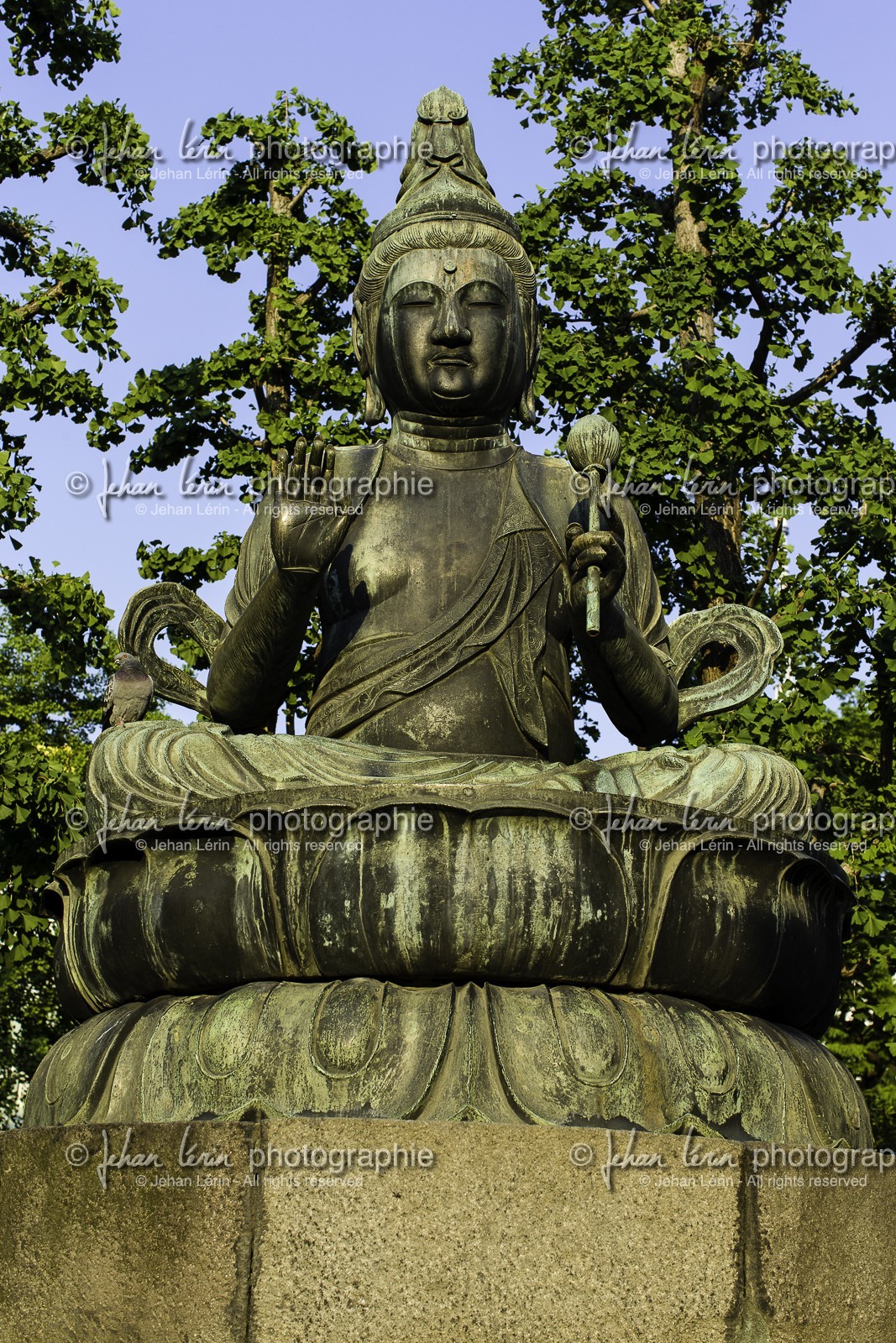 asakusa_tokyo_japon_jl_1dx_07-05-2014-6499.jpg
