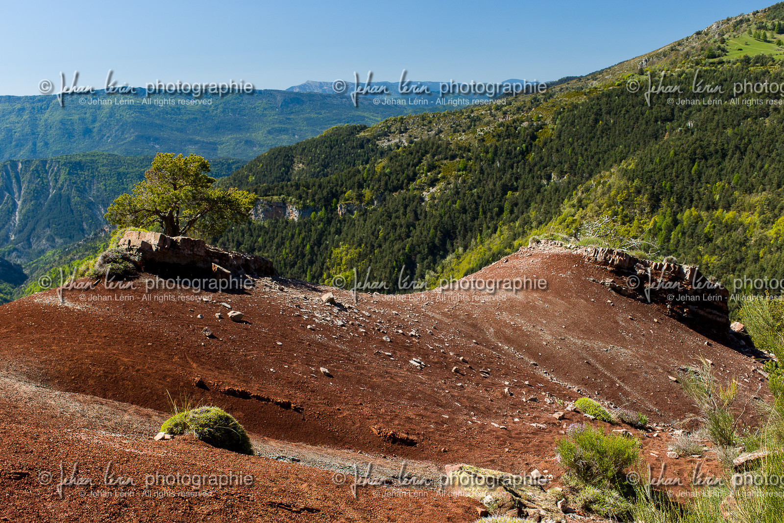 trek-loueve-dome-du-barrot-amen-loueve_alpes-maritimes_1dx_05-05-2016-2693.jpg