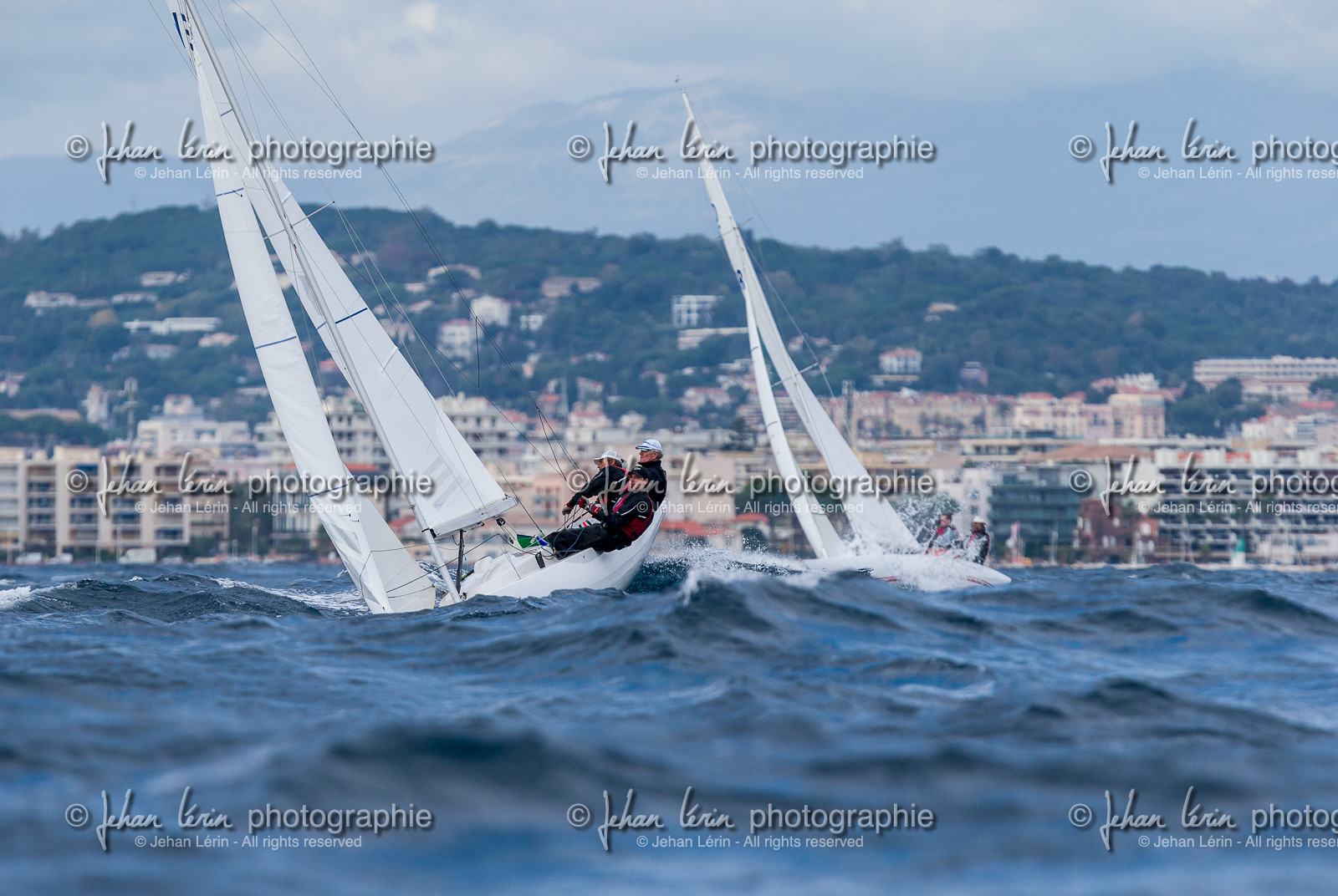 Armistice Cup Dragon 2022