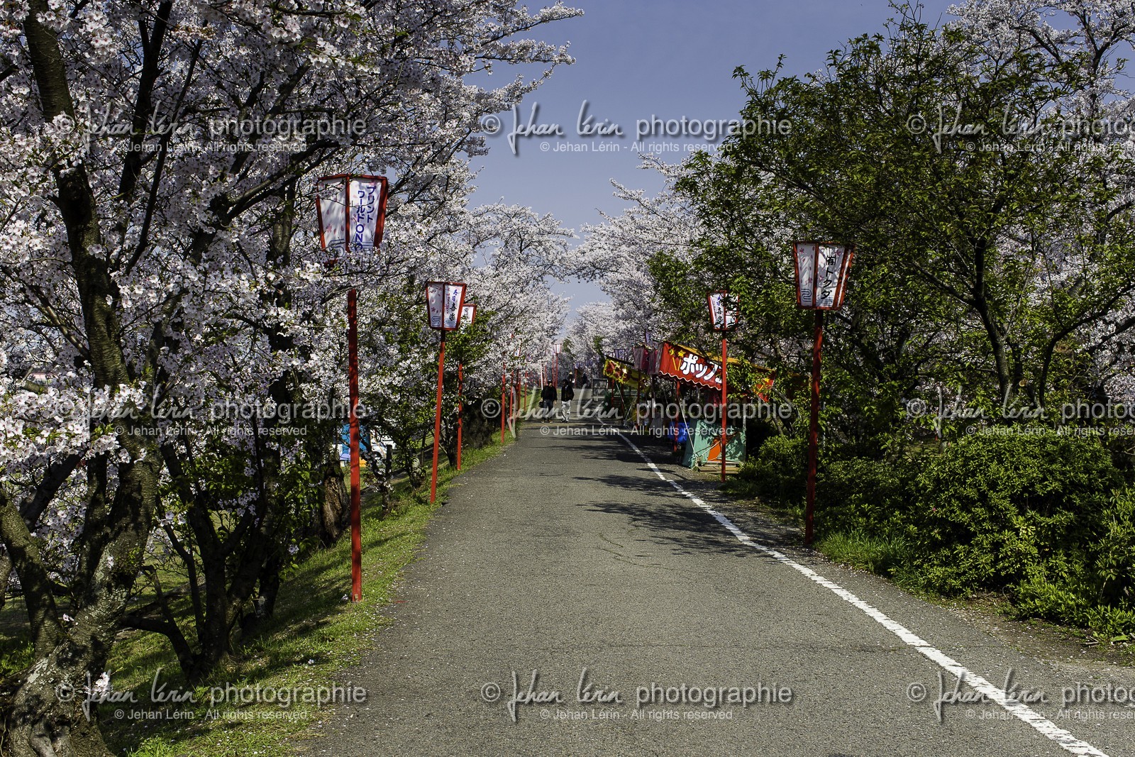 trim-park_en-route-vers_temple-65_shikoku_japon_03-04_2014-3769.jpg