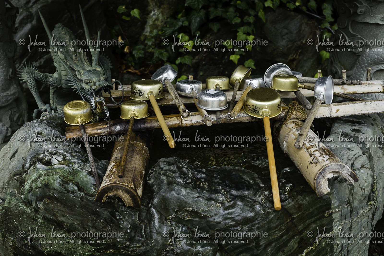 gokurakuji_temple-2_shikoku_japon_05-03_2014-1674.jpg