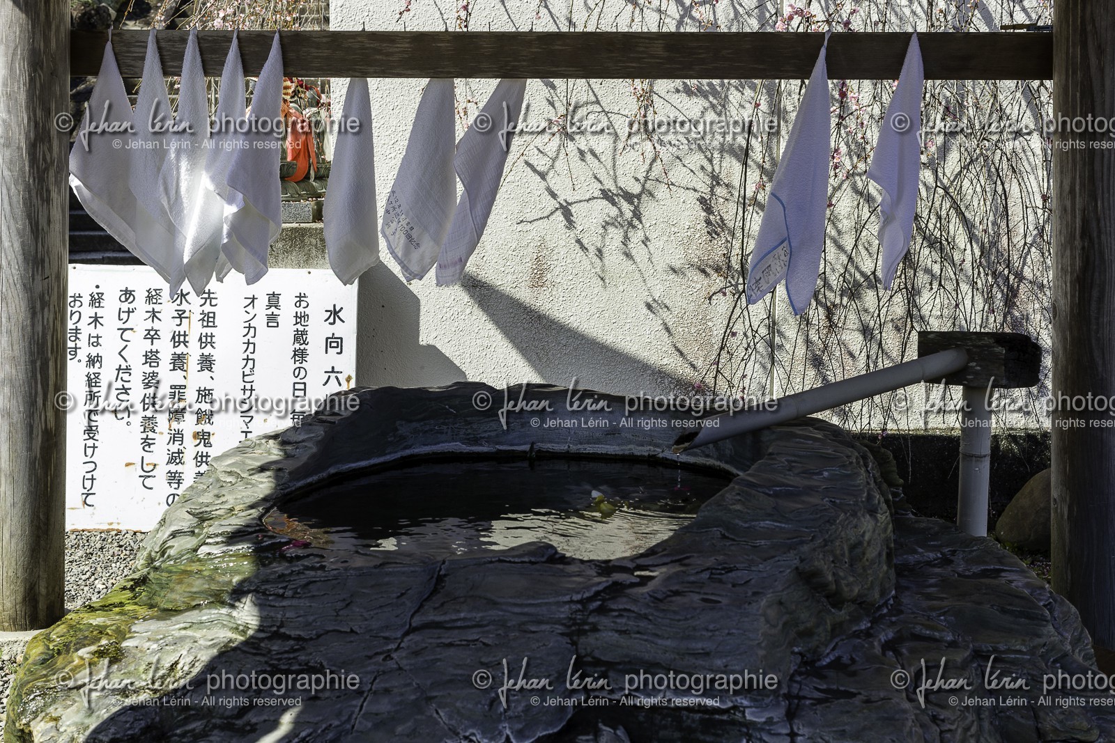 byodoji_temple-22_shikoku_japon_11-03_2014-2389.jpg