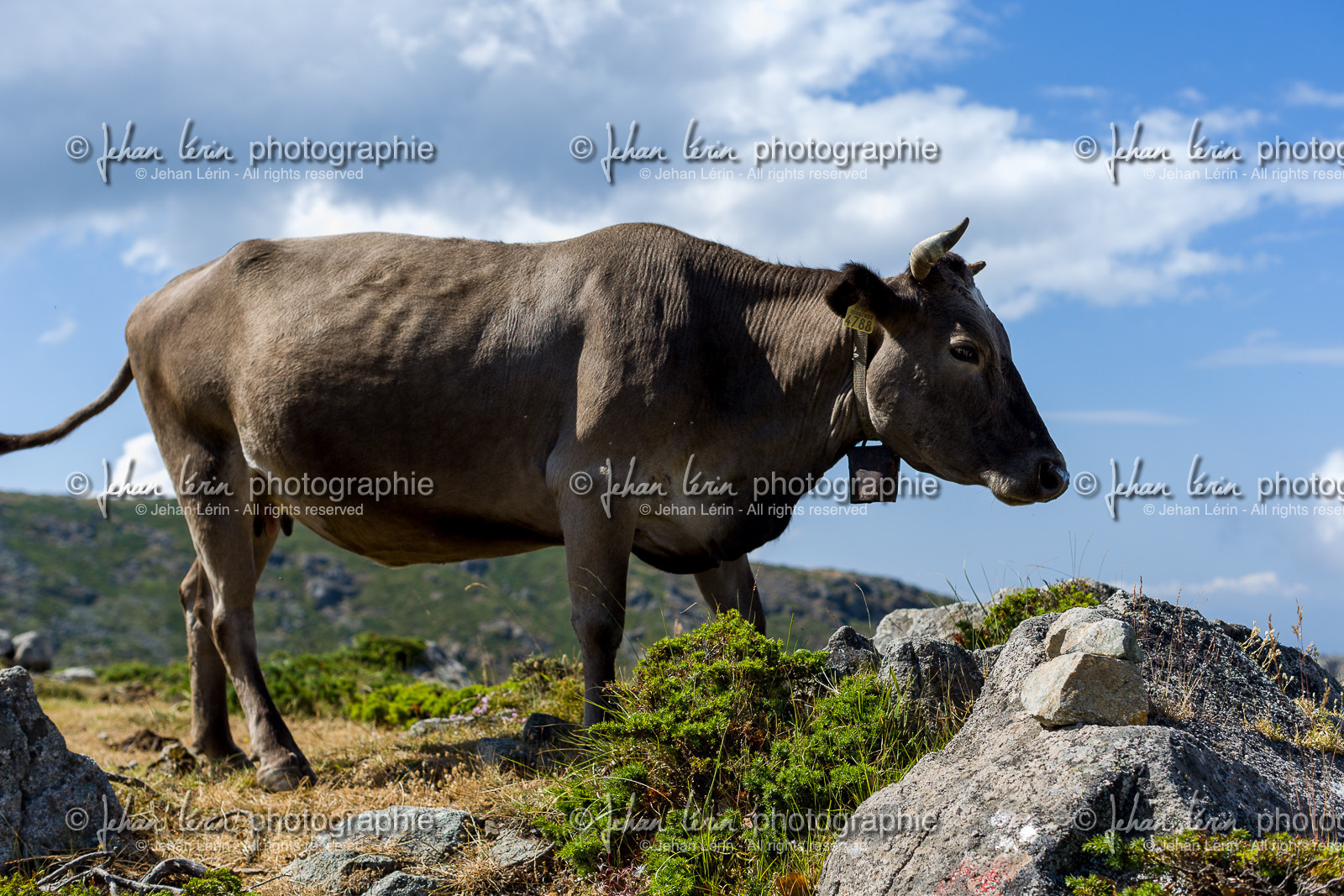 gr20_corse_jl_1dx_25-07-2016-0964.jpg