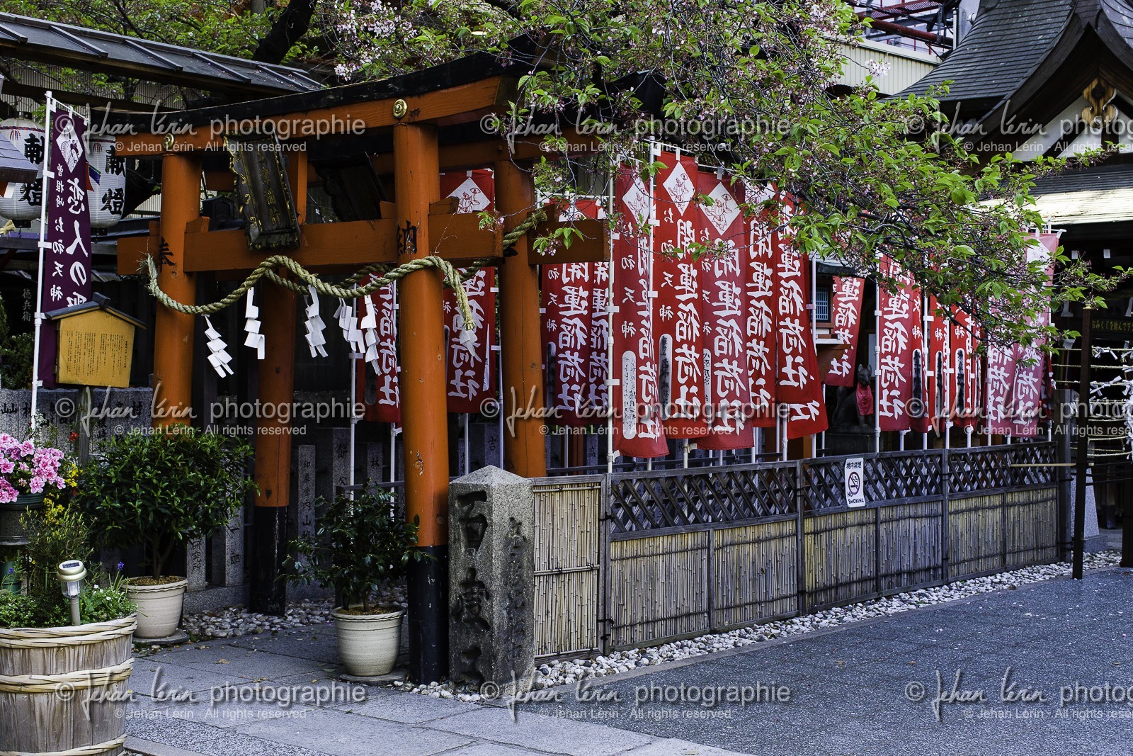 ohatsu-tenjin-sanctuary_osaka_japon_jl_1dx_14-04-2014-4796.jpg