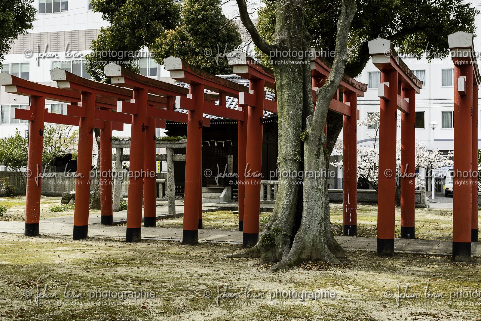 nankobo_temple-55_shikoku_japon_31-03_2014-3527.jpg nankobo_temple-55_shikoku_japon_31-03_2014-3527.jpg