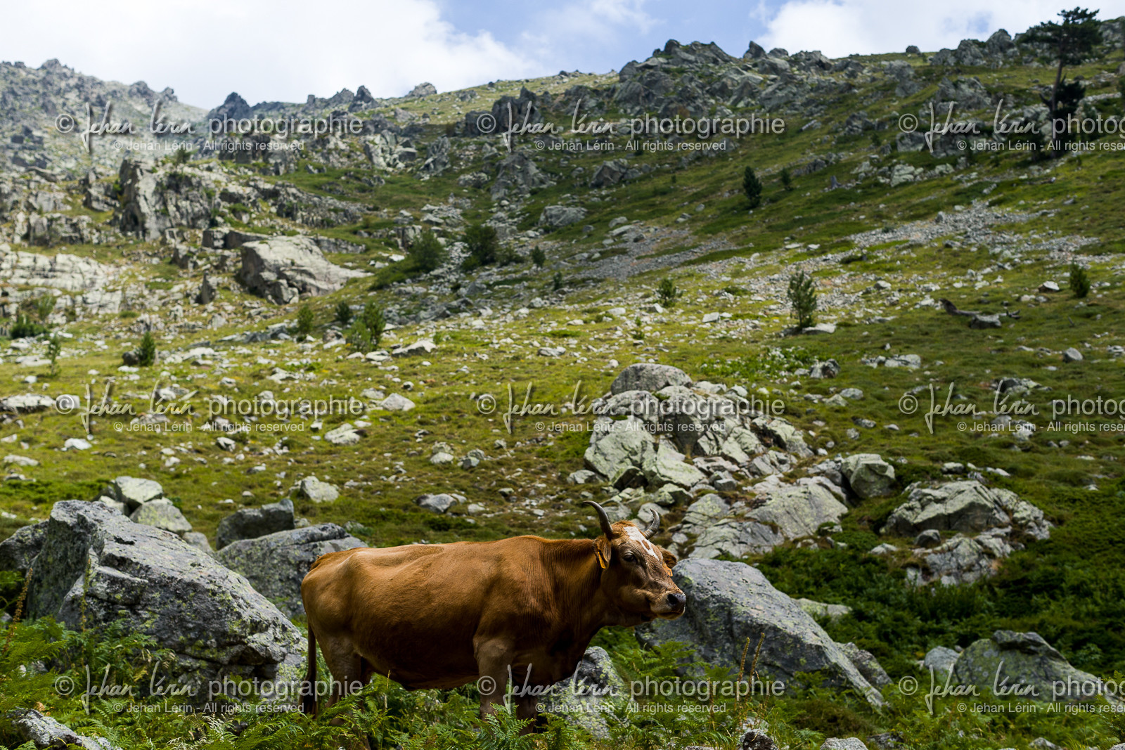 gr20_corse_jl_1dx_23-07-2016-0771.jpg