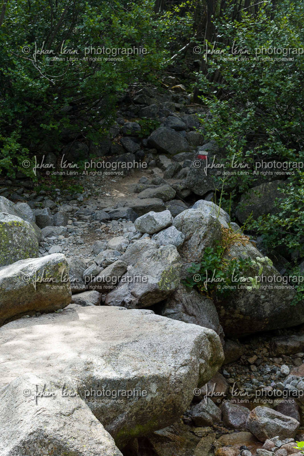 gr20_corse_jl_1dx_22-07-2016-0703.jpg