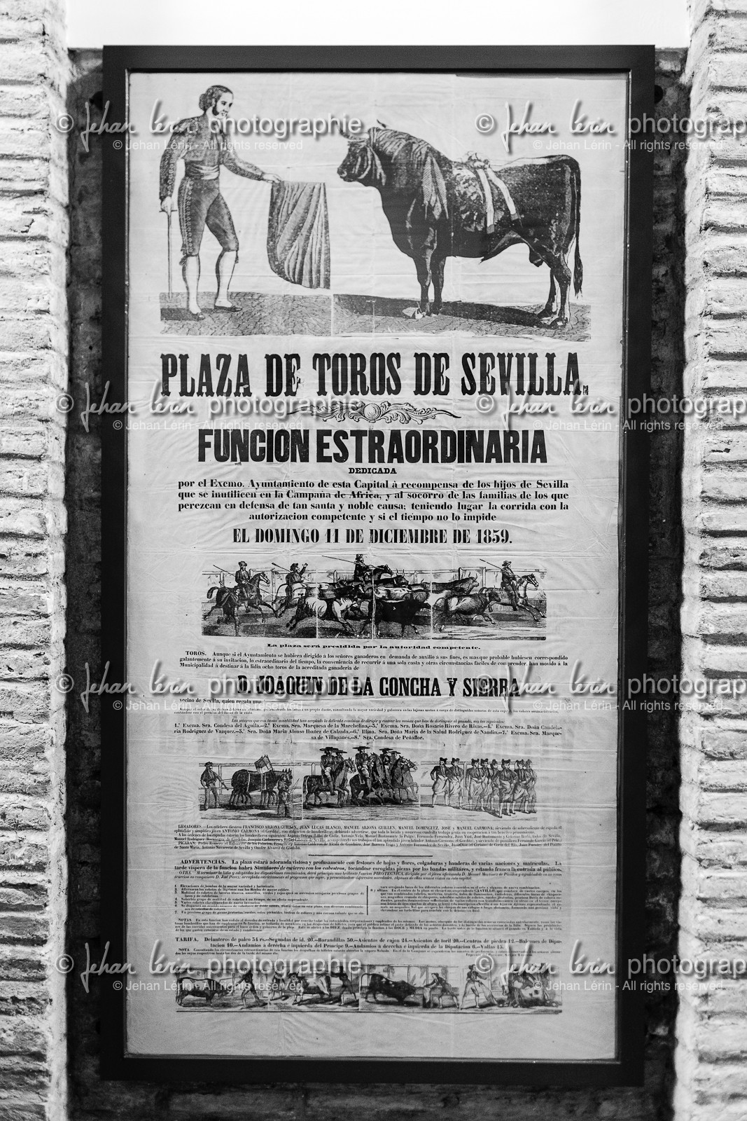 sevilla_19-01-2010-8188.jpg