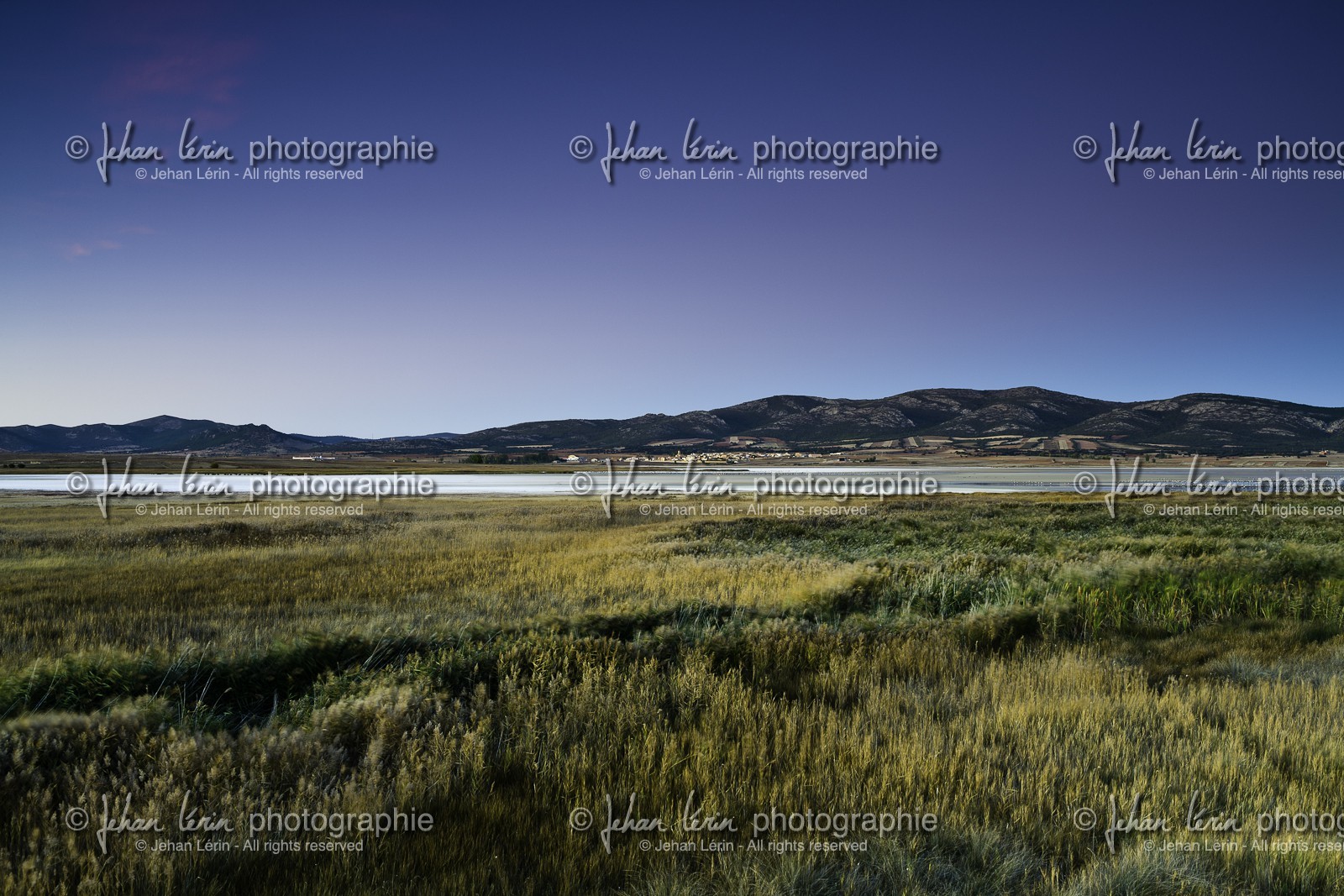 laguna-de-gallocanta_15-10-2009-5918.jpg