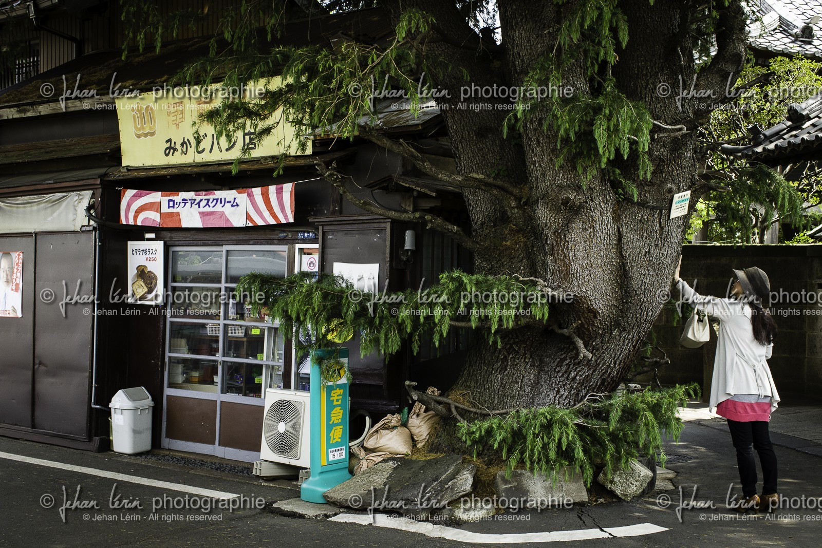 yanaka_ueno_tokyo_japon_jl_1dx_07-05-2014-6377.jpg