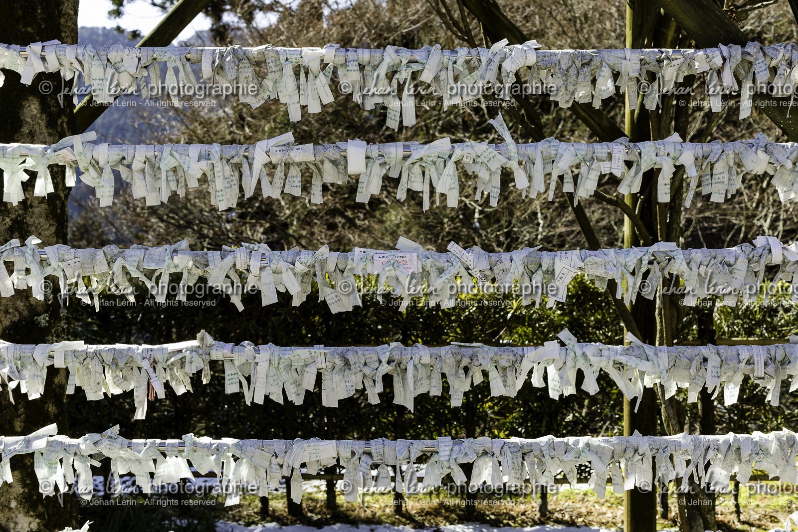 tairyuji_temple-21_shikoku_japon_11-03_2014-2386.jpg
