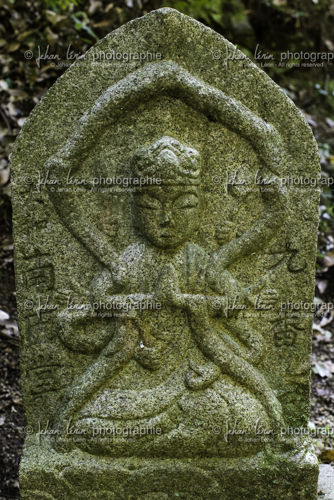 senyuji_temple-58_shikoku_japon_01-04_2014-3560.jpg