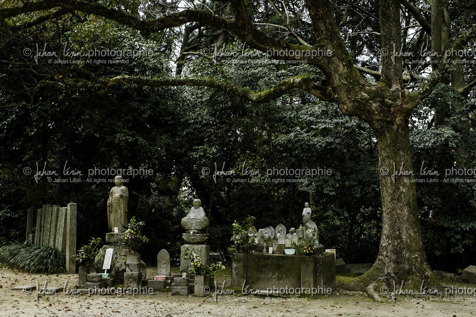 maegamiji_temple-64_shikoku_japon_02-04_2014-3753.jpg