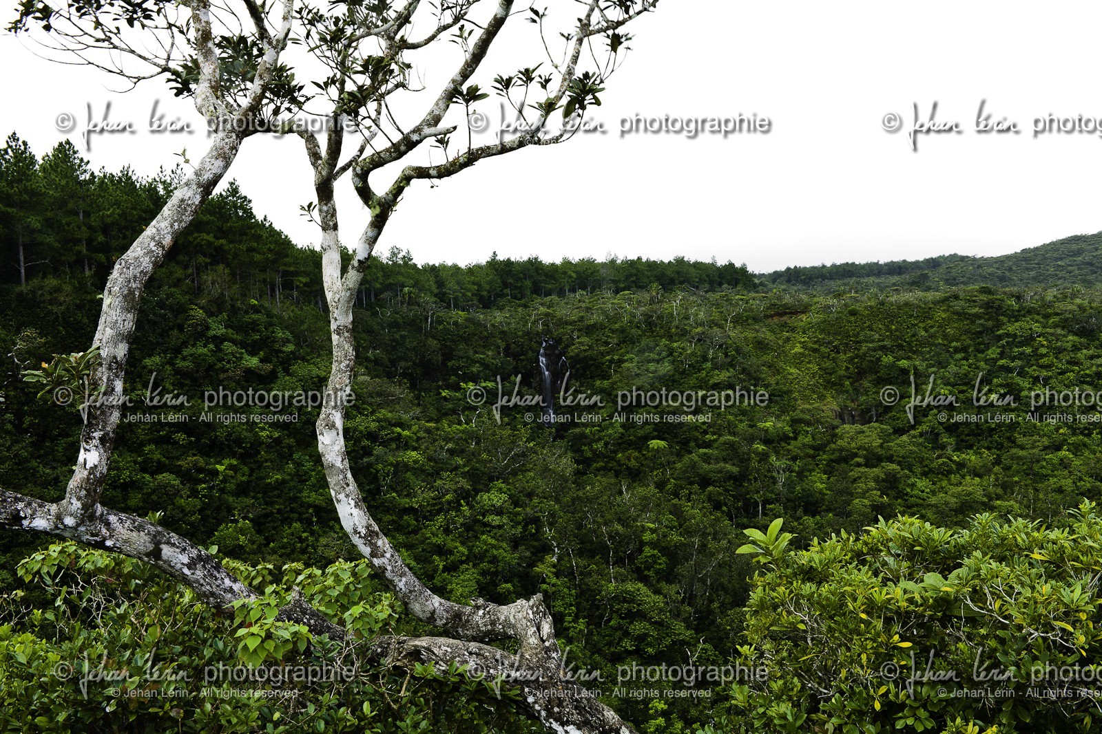 ile-maurice_aout-2009-4088.jpg