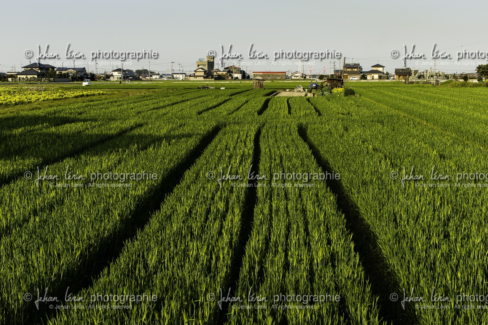 en-route-vers_temple-60_shikoku_japon_01-04_2014-3614.jpg
