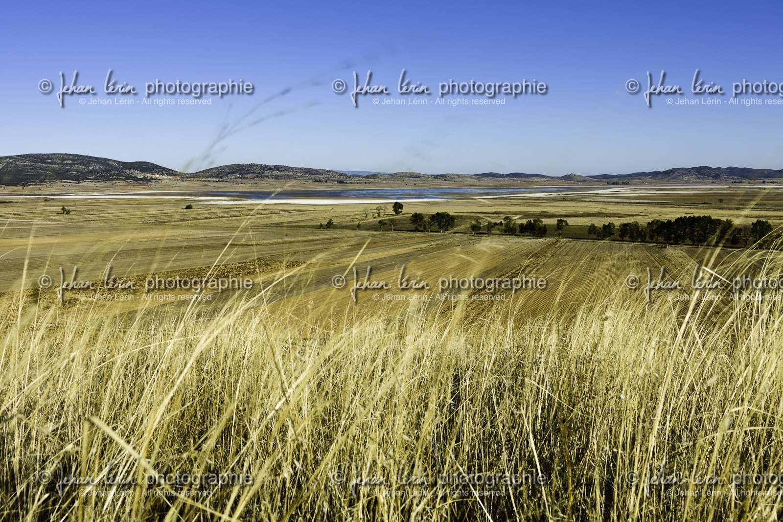 laguna-de-gallocanta_15-10-2009-5819.jpg