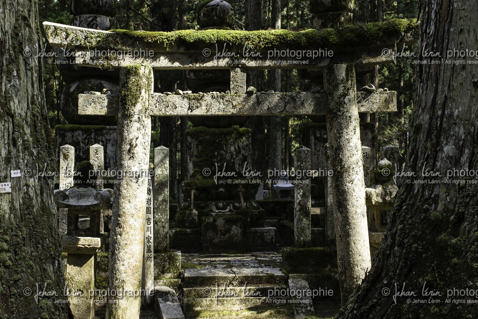 koyasan_japon_jl_1dx_17-04-2014-5326.jpg