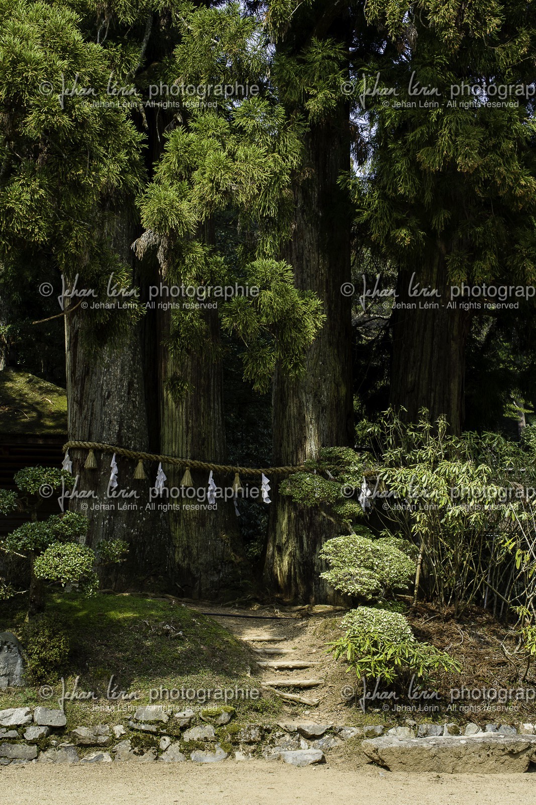 koyasan_japon_jl_1dx_17-04-2014-5191.jpg