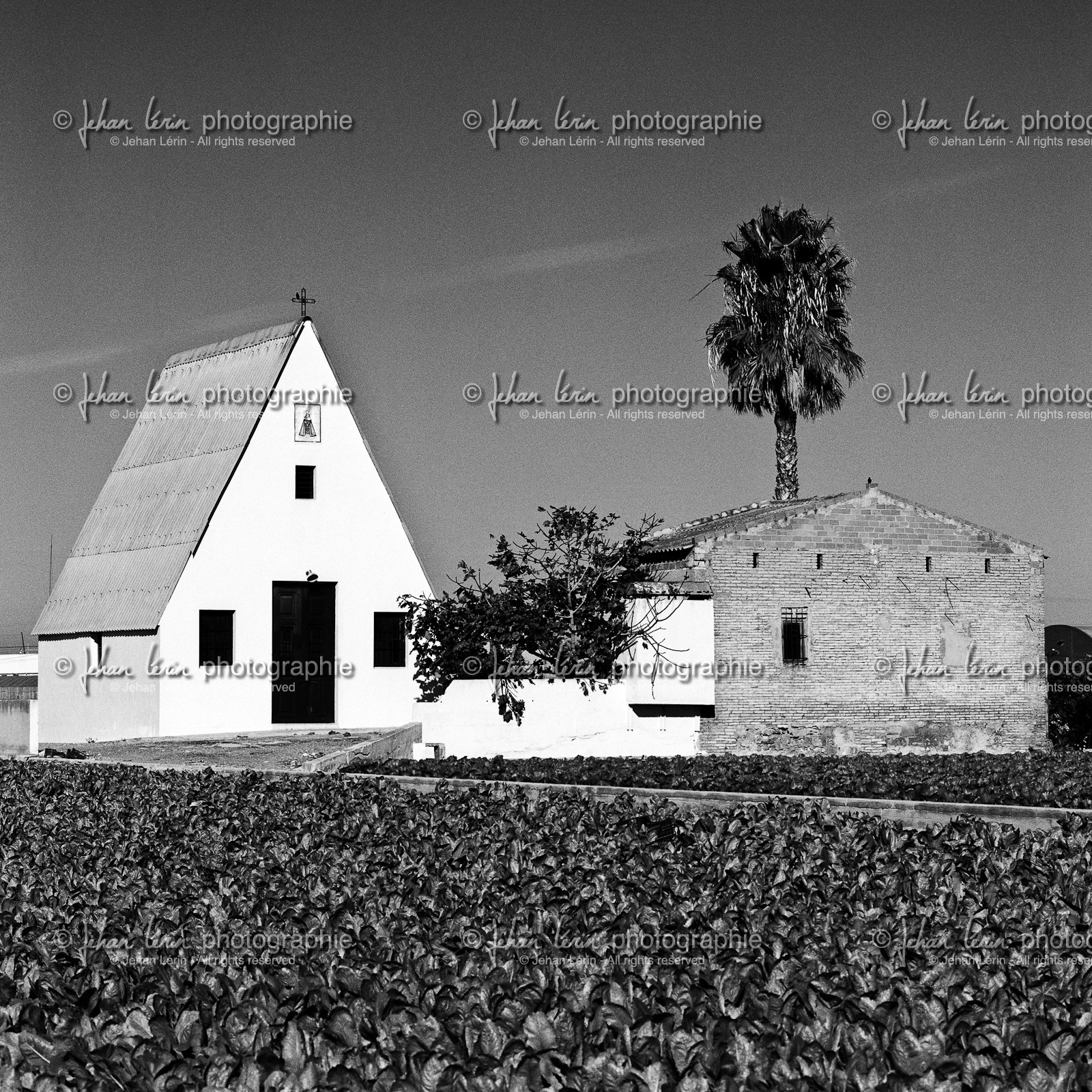 valencia_barracas-de-alboraya_20.jpg