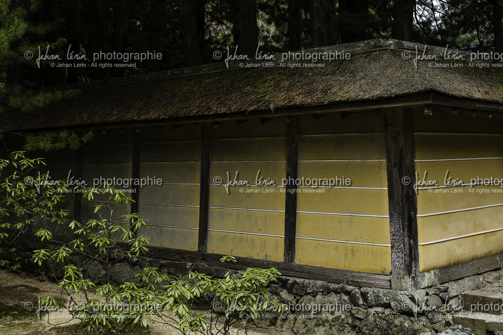 koyasan_japon_jl_1dx_16-04-2014-5086.jpg koyasan_japon_jl_1dx_16-04-2014-5086.jpg