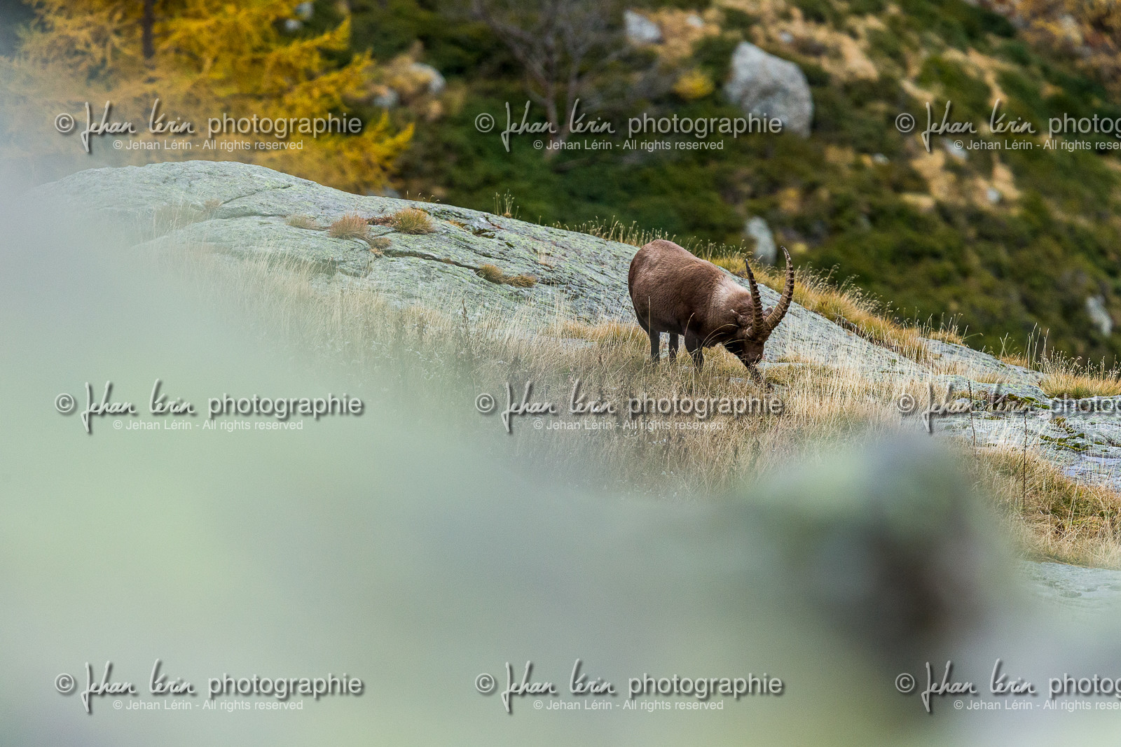 la-gordolasque_jehan-lerin_jl_1dx_11-11-2021-0071.jpg