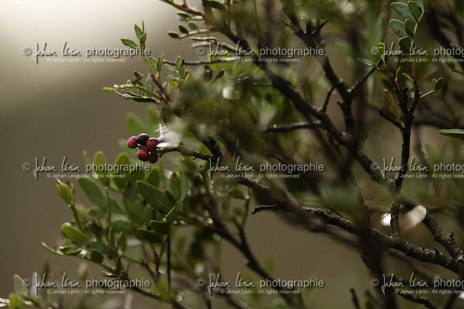 racc-spain-2012_ss5-terra-alta_vilbal-dels-arcs_09-11-2012-5116.jpg