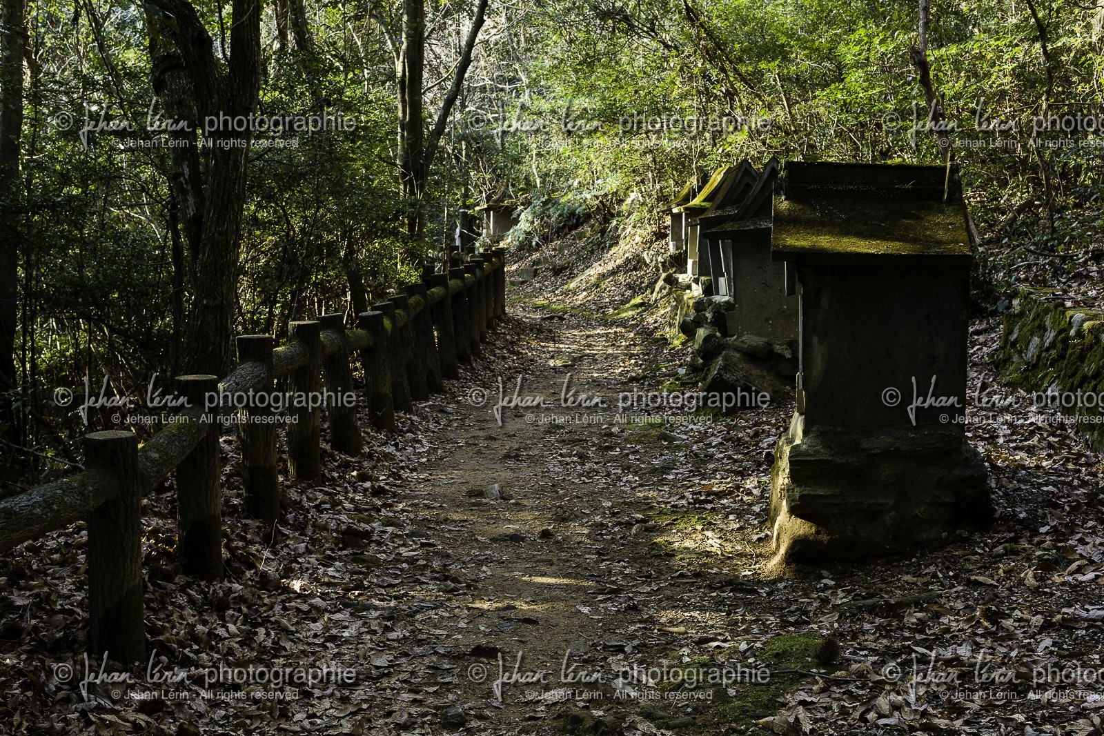 en-route-vers-le-temple-12_shikoku_japon_07-03_2014-1956.jpg