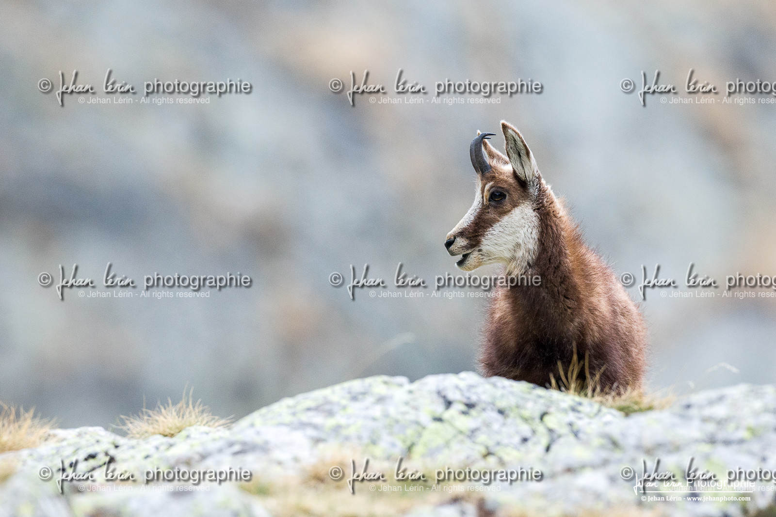 la-gordolasque_mercantour_jehan-lerin_jl_1dx_27-04-2023-0352.jpg