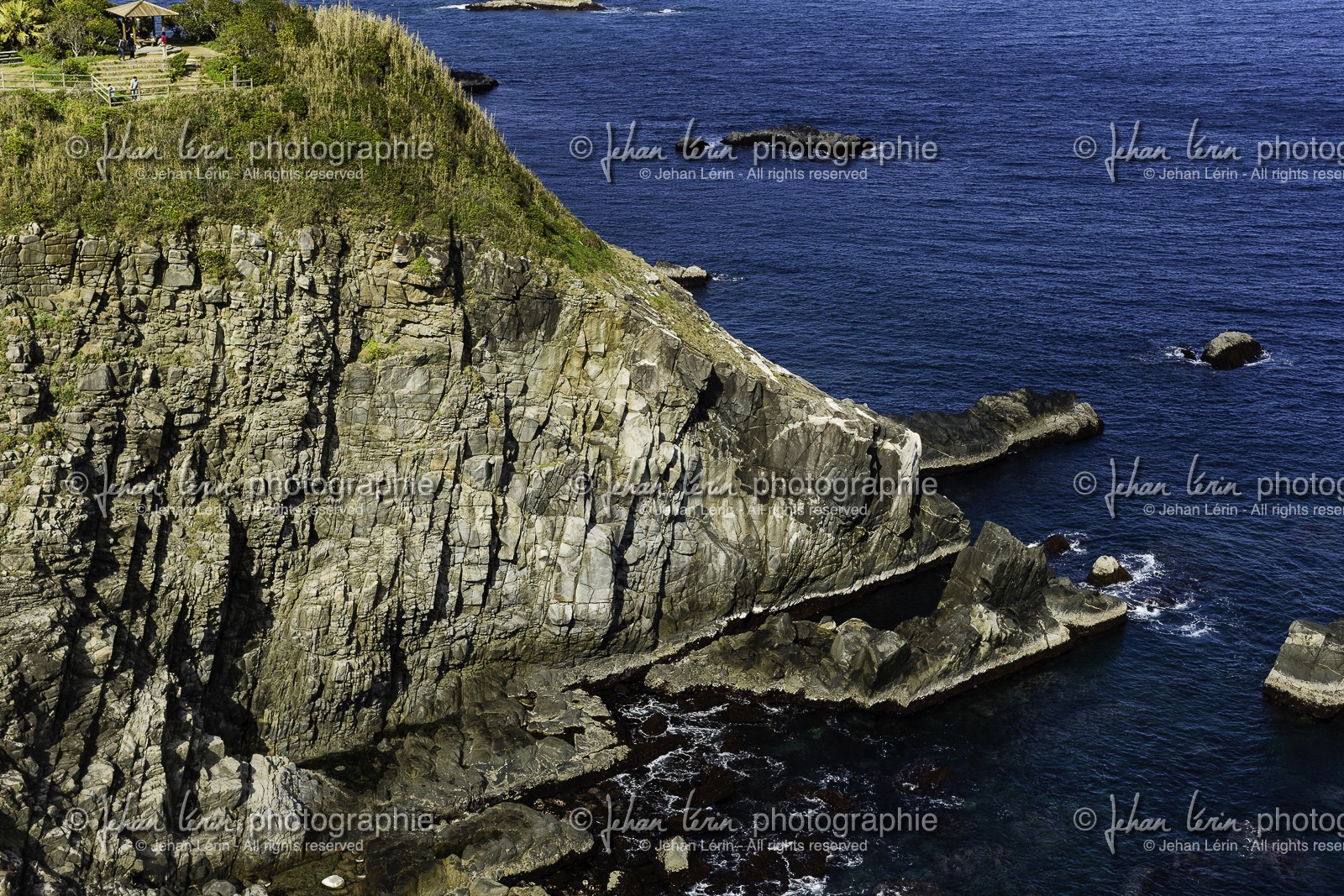 cape-ashizuri-misaki_temple-38_shikoku_japon_21-03_2014-3002.jpg