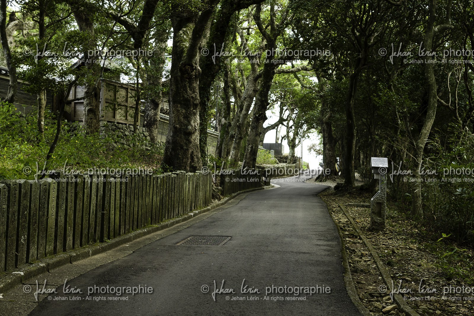 cap-muroto_hotsumisakiji_temple-24_shikoku_japon_14-03_2014-2477.jpg