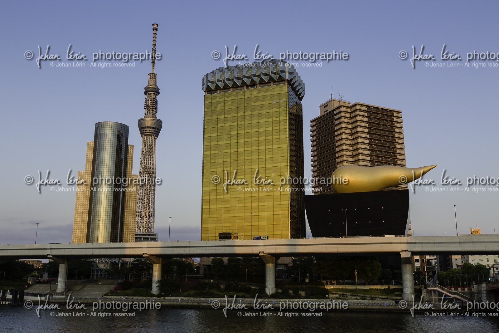 ueno_tokyo_japon_jl_5d3_07-05-2014-1613.jpg