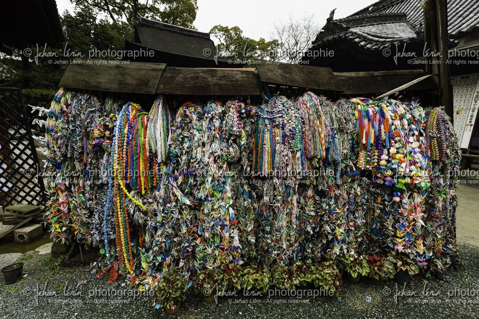 ishiteji_temple-51_shikoku_japon_30-03_2014-0793.jpg