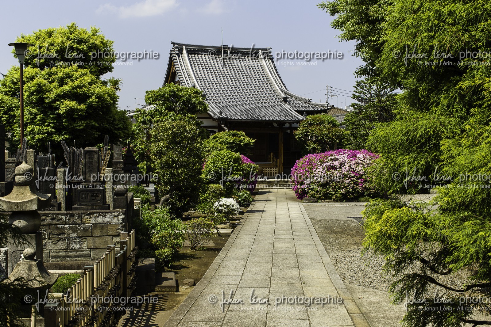 yanaka_ueno_tokyo_japon_jl_1dx_07-05-2014-6427.jpg yanaka_ueno_tokyo_japon_jl_1dx_07-05-2014-6427.jpg