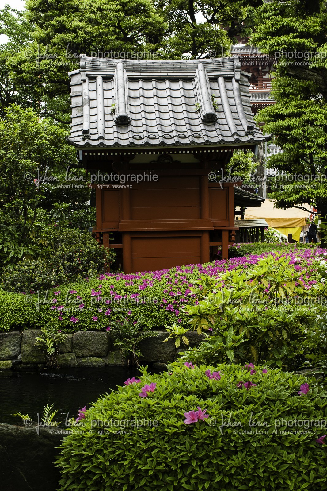 asakusa_tokyo_japon_jl_1dx_05-05-2014-6307.jpg