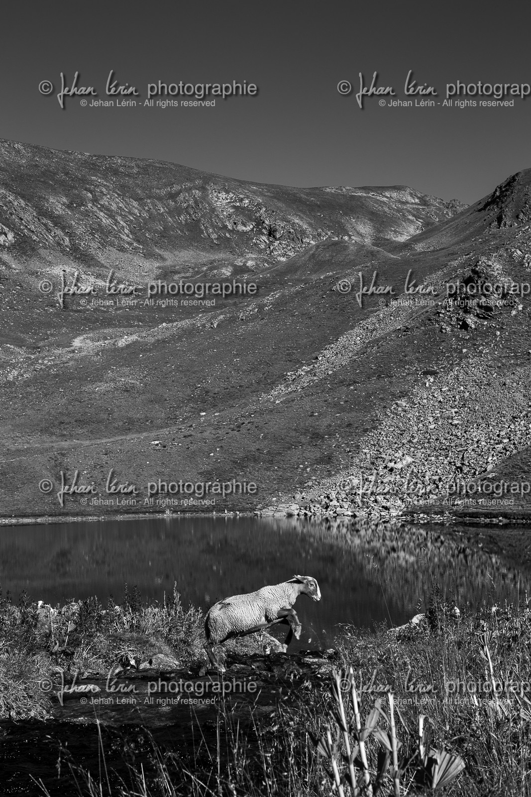 rando-millefonts_jl_1dx_17-08-2014-1577.jpg rando-millefonts_jl_1dx_17-08-2014-1577.jpg