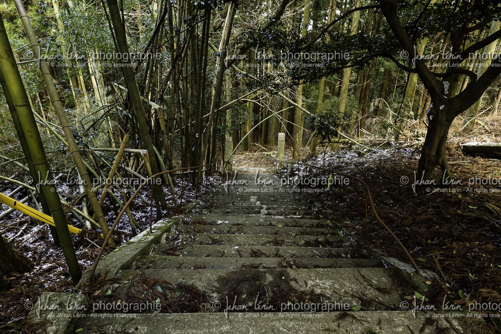 en-route-vers-le-temple-12_shikoku_japon_07-03_2014-0371.jpg