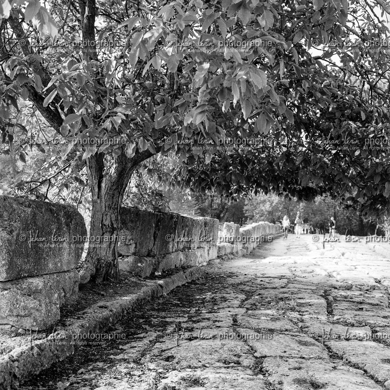 greece_dion_oct-2007-73.jpg