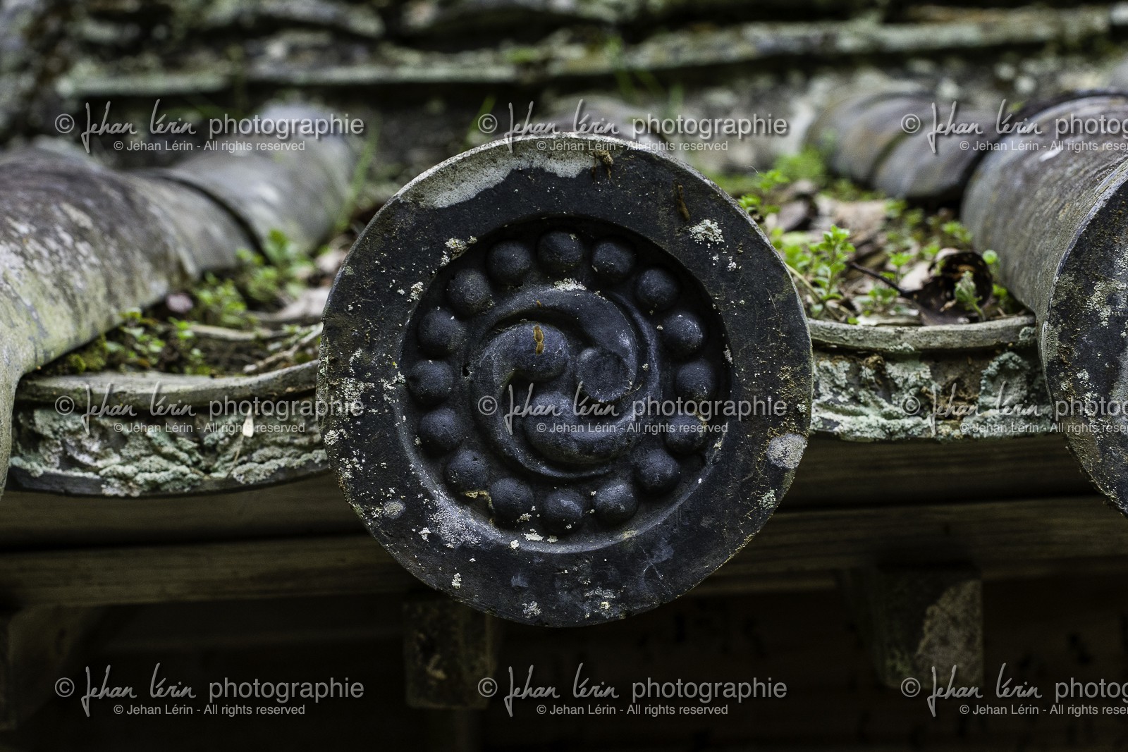 fujiidera_temple-11_shikoku_japon_06-03_2014-1952.jpg