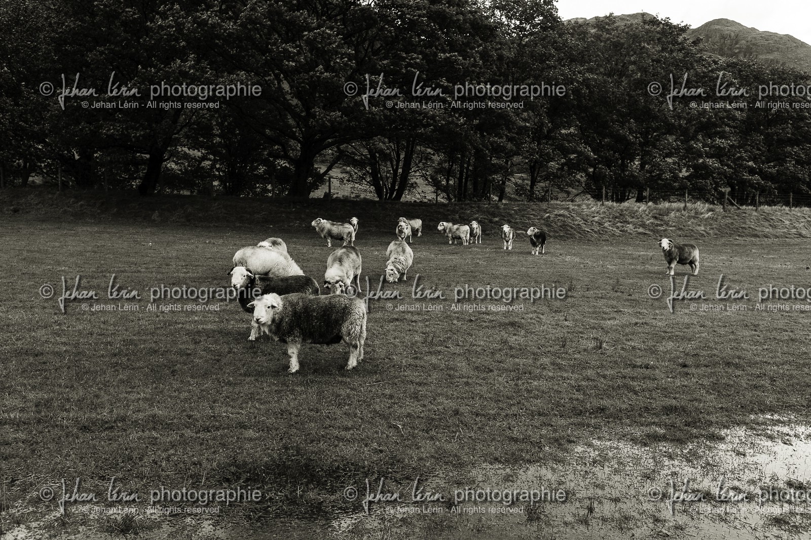 ambleside_lake-district-national-park_uk_oct-2012-2375-2.jpg