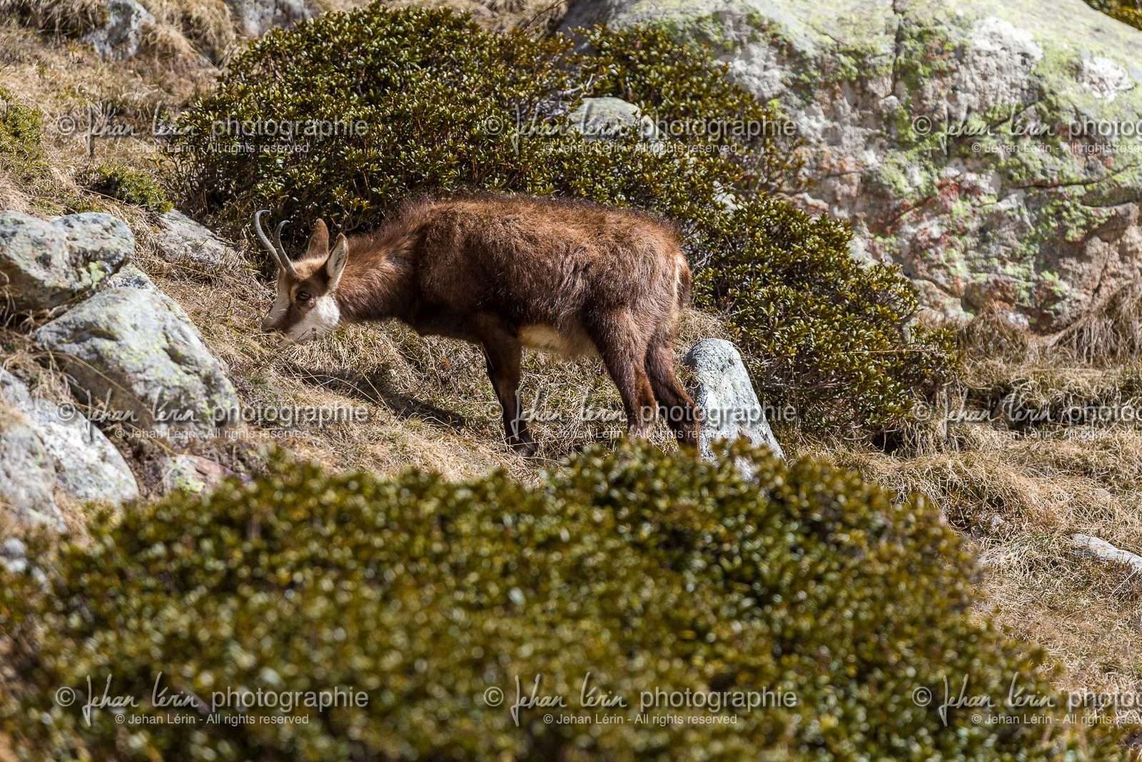 la-gordolasque_mercantour_jl_1dx_15-03-2021-0059.jpg