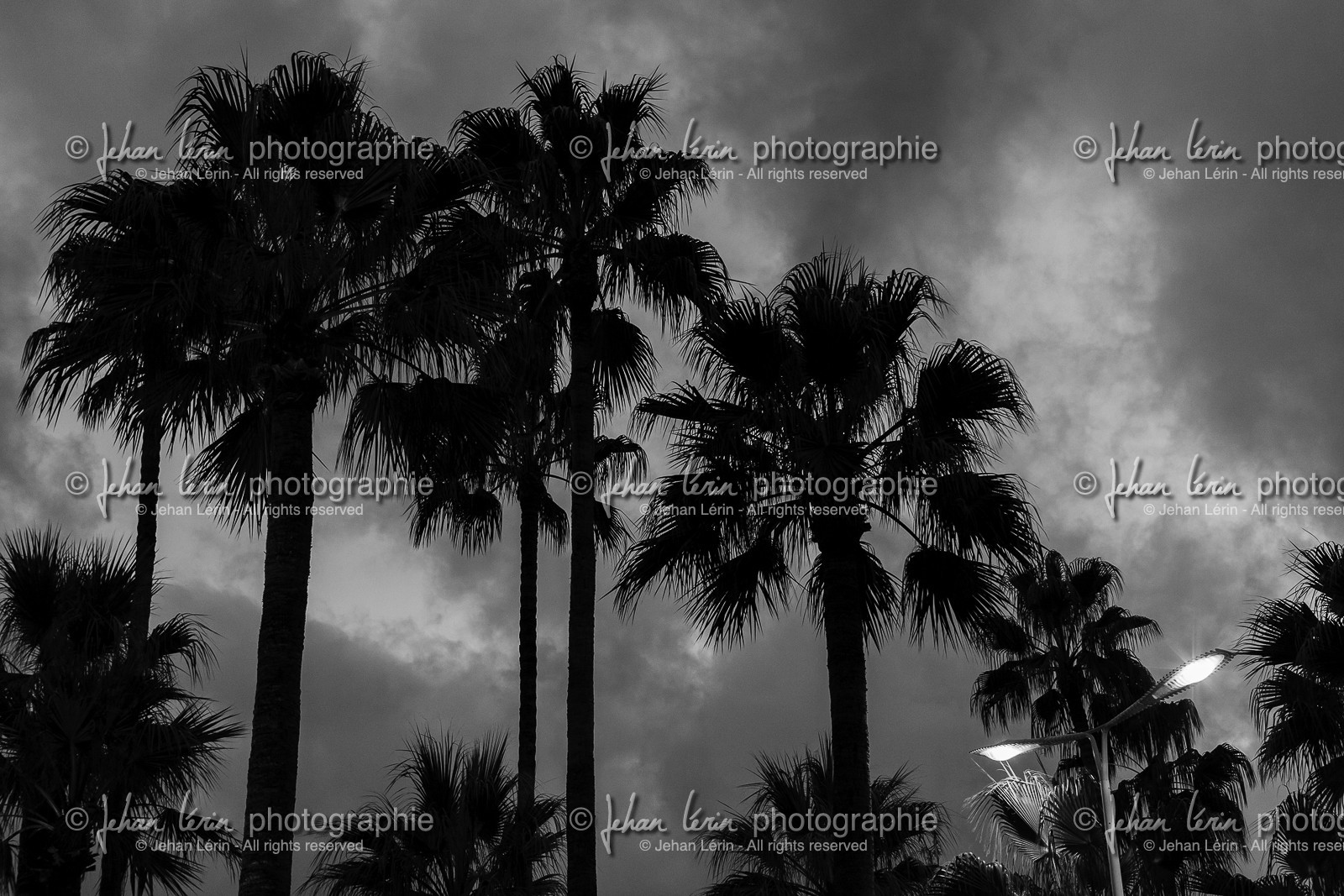 cannes_france_13-10-2013-4960.jpg