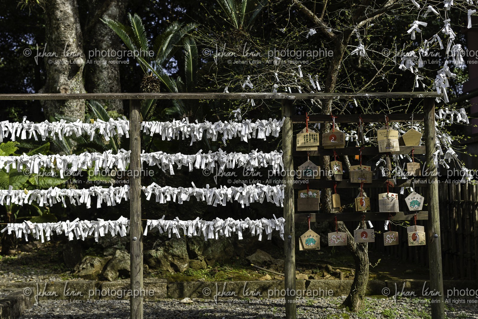 cap-muroto_hotsumisakiji_temple-24_shikoku_japon_14-03_2014-2512.jpg