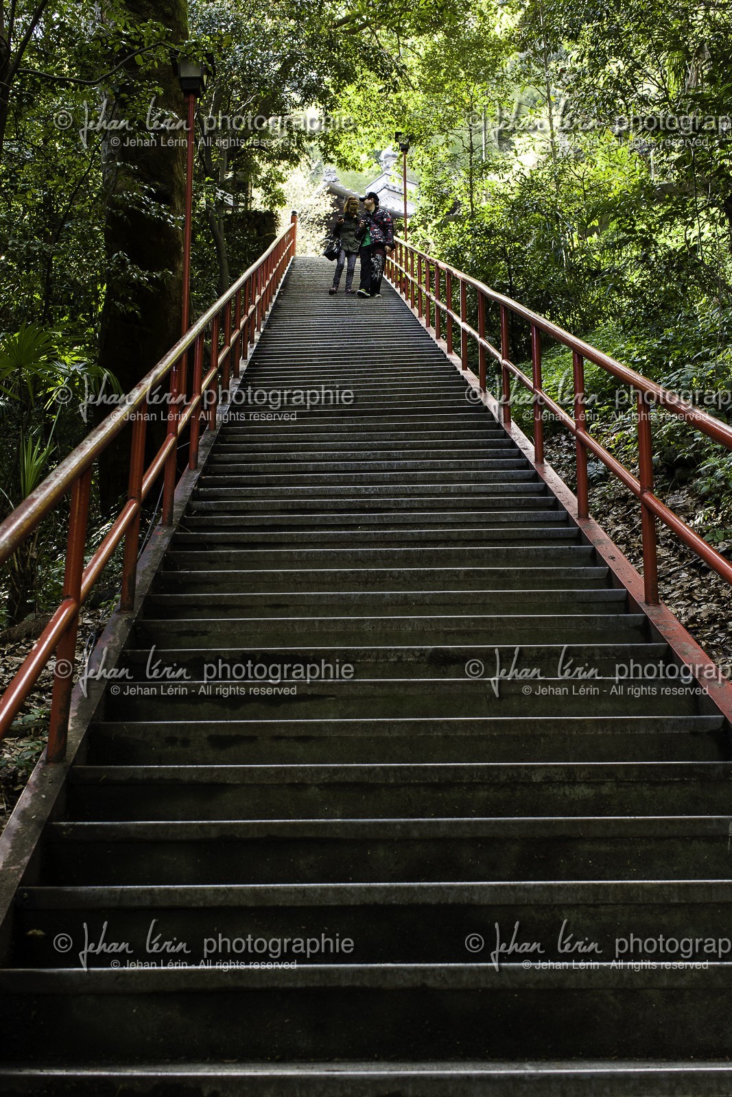 iyadaniji_temple-71_shikoku_japon_06-04_2014-4007.jpg