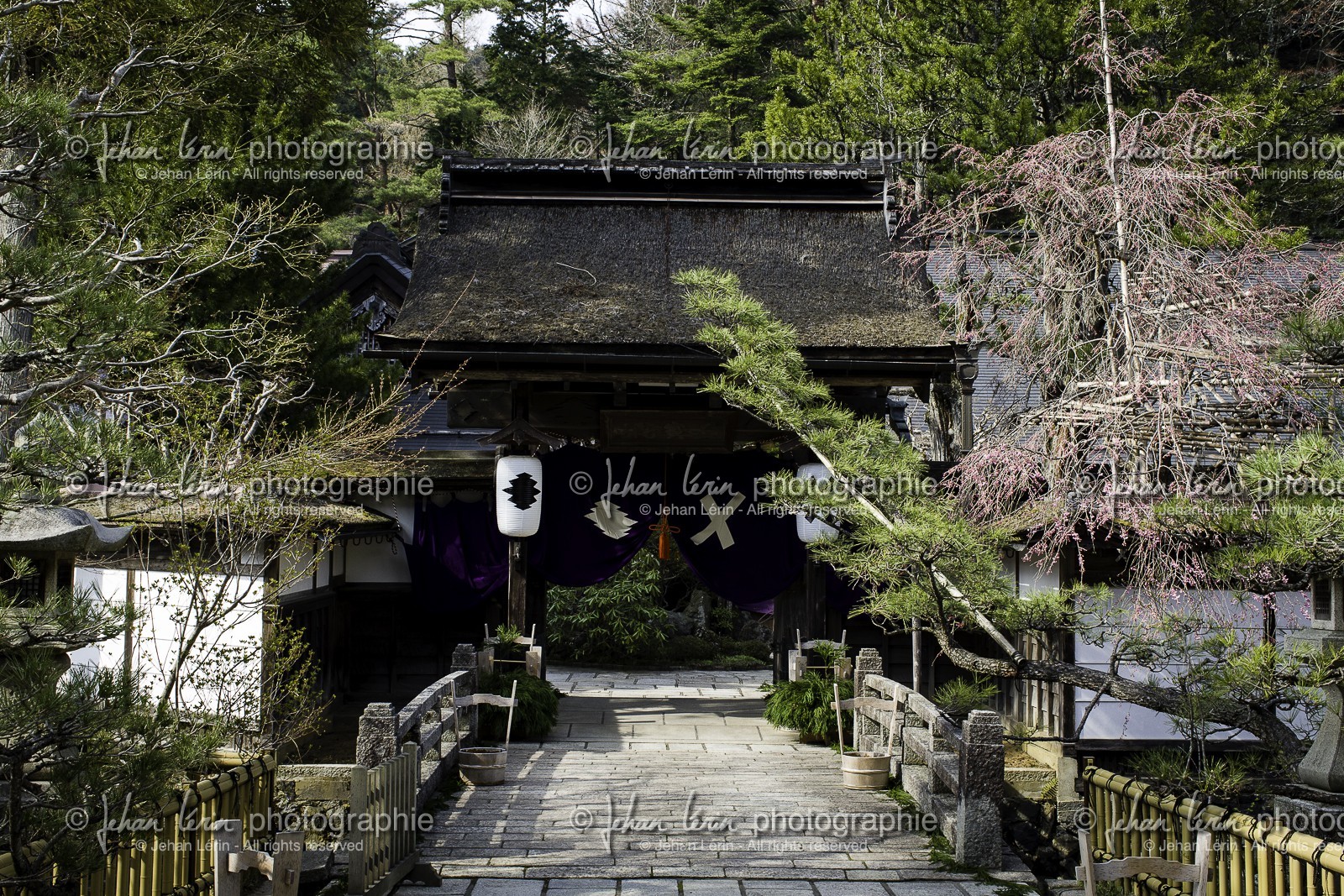 koyasan_japon_jl_1dx_17-04-2014-5364.jpg koyasan_japon_jl_1dx_17-04-2014-5364.jpg