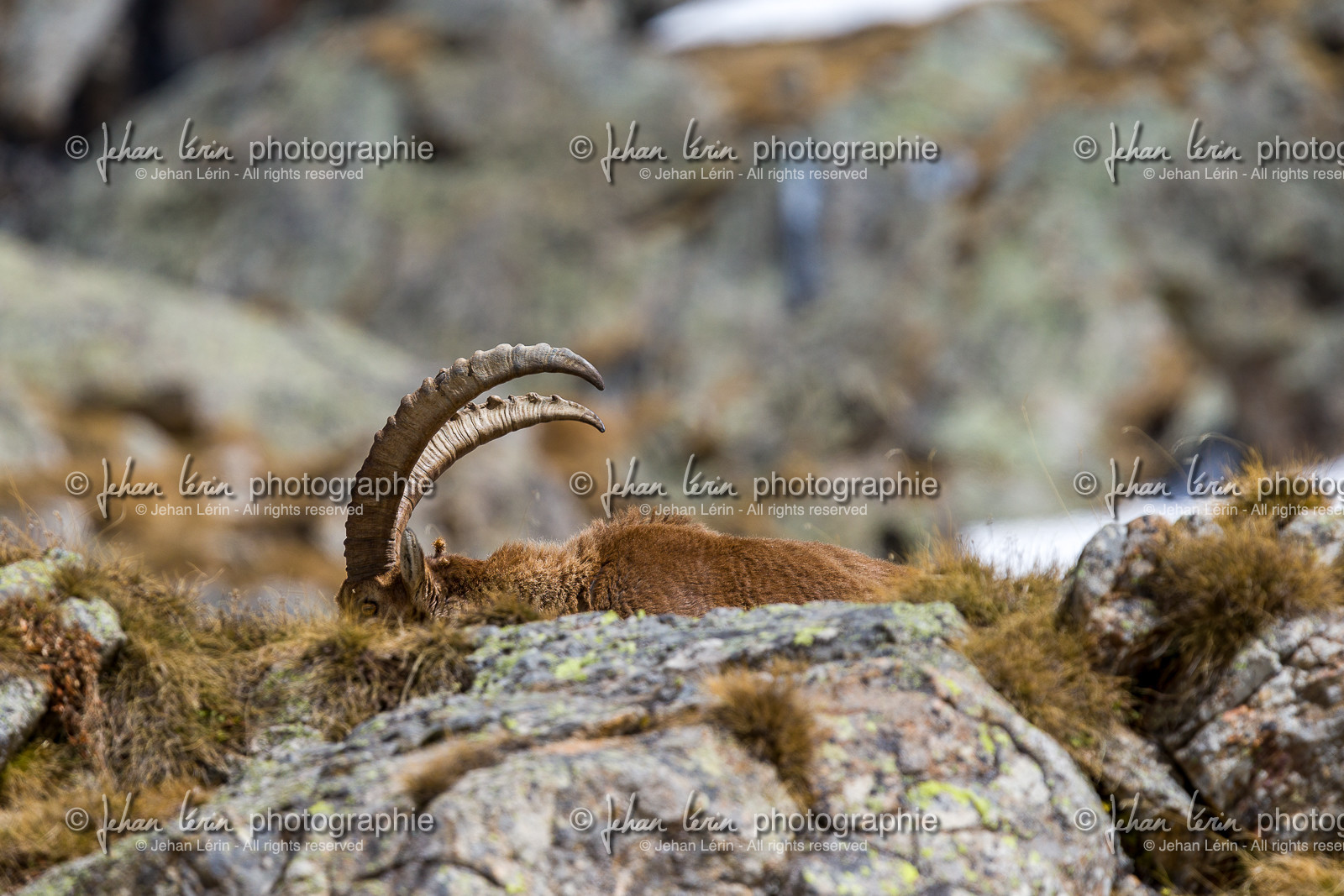 la-gordolasque_mercantour_jl_1dx_15-03-2021-0097.jpg