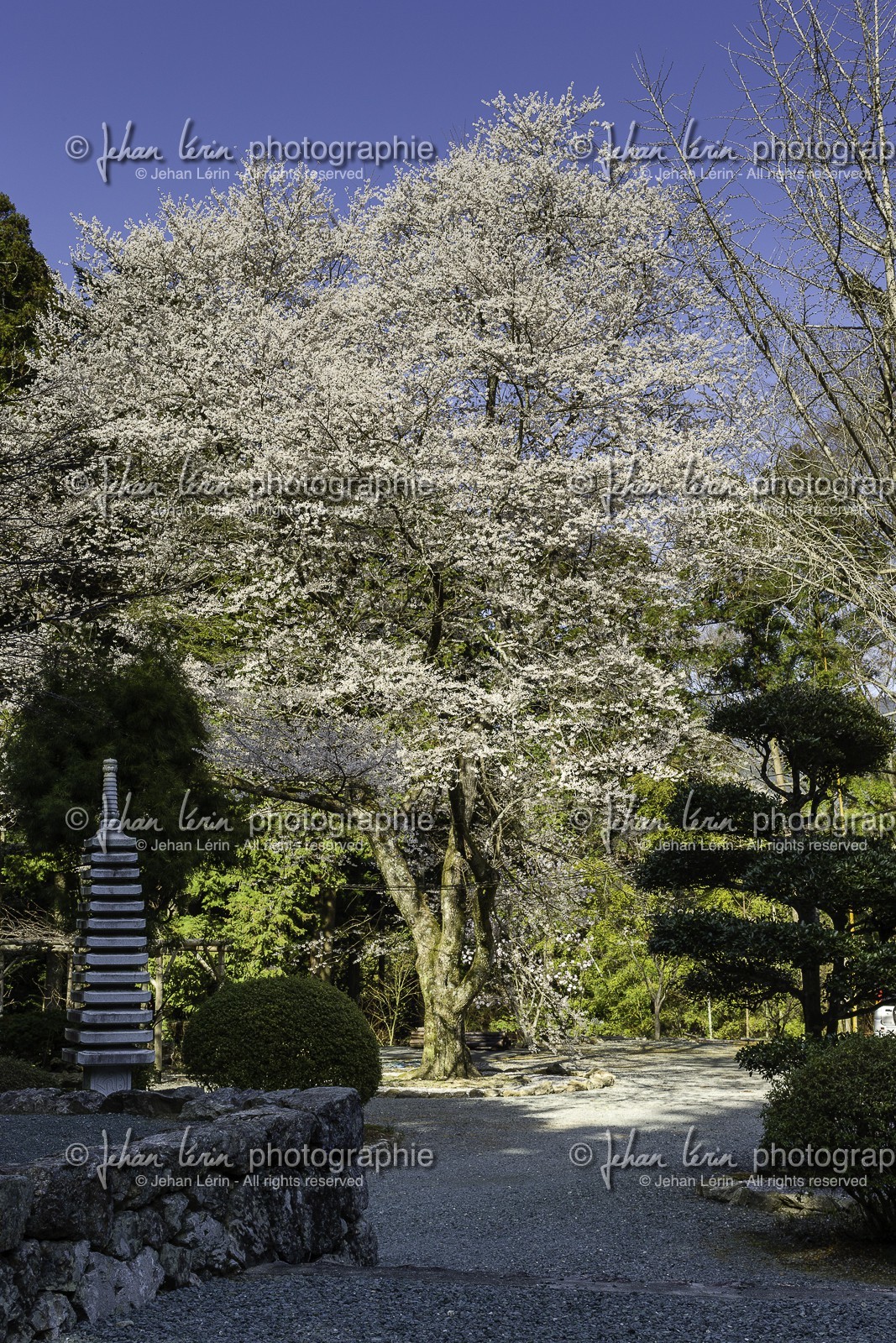 meisekiji_temple-43_shikoku_japon_27-03_2014-3206.jpg